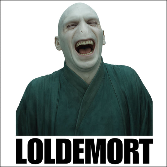 Loldermort Custom Cut Acrylic Ornament | Voldemort | Harry Potter Parody | Christmas Decor
