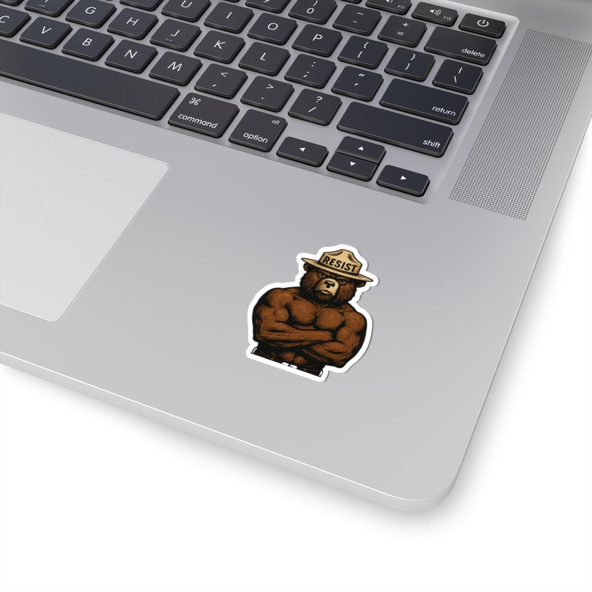 Smoky The Bear Resist Sticker - Anti-Trump
