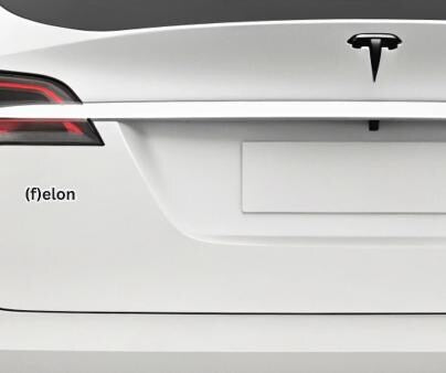 Discrete, Playful (f)elon Die-Cut Magnet - Fun Gift, Home Decor, Car Accessory, Office Humor, Unique Collectible. Approx. 3" wide